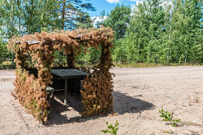 Czym cechują się dobrze zorganizowane kolonie survivalowe?