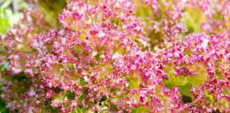 Ile kompletów pościeli dla noworodka?