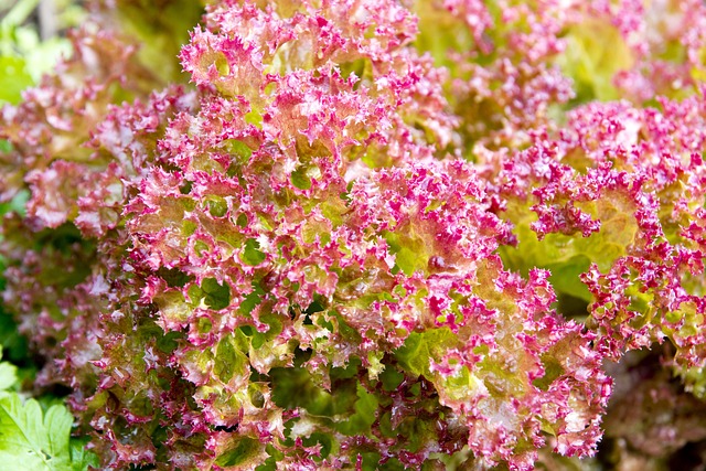 Ile kompletów pościeli dla noworodka? Ile kompletów pościeli dla noworodka?