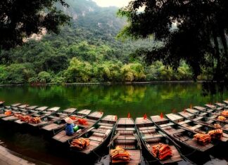 Kto nosi pomarańczowe kamizelki?