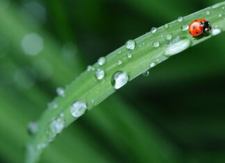 Czy pościel Po zakupie należy Wyprac?