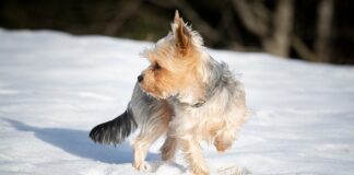 Czy codziennie czyścić nosek niemowlakowi?