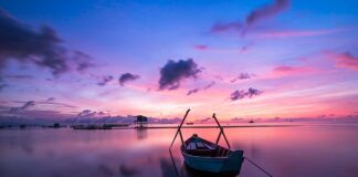 Jaki ma kolor karetka?