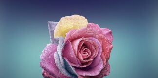 Czy płatki kosmetyczne mogą uczulać?