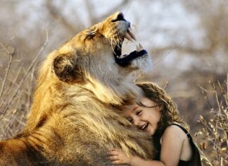 Jak długo przesuwają się zęby?