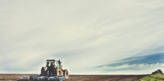 Jak poluzować pasy w foteliku Sesttino?