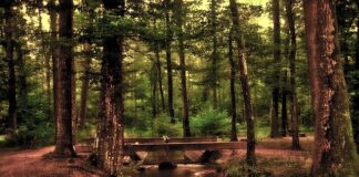 Od jakiego wzrostu można jeździć na przednim siedzeniu?