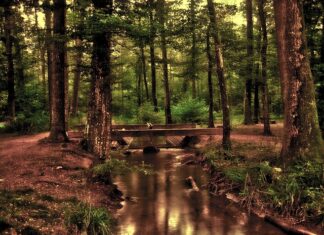 Od jakiego wzrostu można jeździć na przednim siedzeniu?