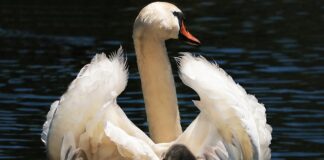 Do jakiego wieku dziecko powinno jeździć w foteliku?