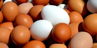 Co można kupić w sklepie z artykułami papierniczymi?