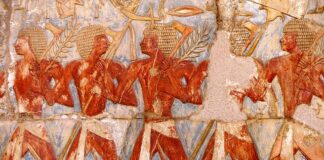 Jakie ulgi na dziecko z orzeczeniem o niepełnosprawności?