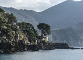 Ile kosztuje dobra lustrzanka?