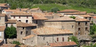 Ile kosztuje orteza na kolano NFZ?