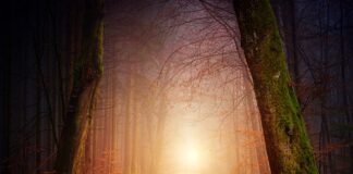 Czy dziecko może chodzić w Niechodkach?