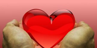 Czego nie można robić po oddaniu nerki?