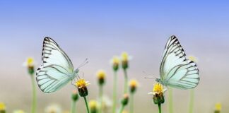 Jaka czapka na wiosnę dla dziecka?