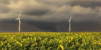 W jakiej kolejności dzieci poznają litery?