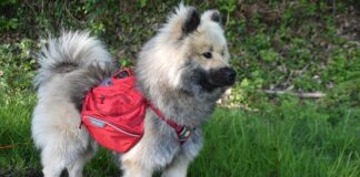 Jakie nosidełko dla 4 miesięcznego niemowlaka?