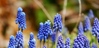 Gdzie zgłosić zaniedbanie dziecka przez matkę?