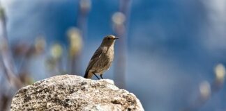 Czego nie lubi pleśń? Czego nie lubi pleśń?