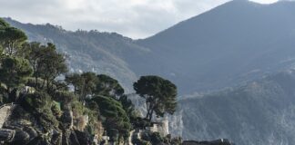 Ile kosztuje zabranie wózka do samolotu?