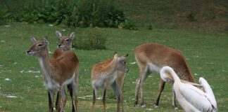 Kiedy można brać dziecko pod pachy?