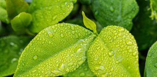 Jak sprawdzić czy w domu jest wilgoć?