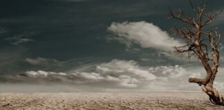 Jak leczyć uporczywy suchy kaszel?