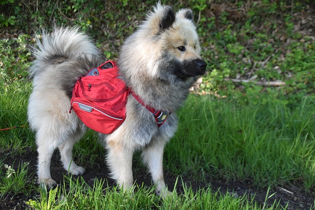 Jakie nosidełko dla 6 miesięcznego dziecka? Jakie nosidełko dla 6 miesięcznego dziecka?