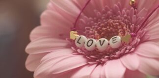 Co lepsze Gerber czy Bobovita?