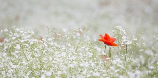 Co to jest oddech Kussmaula?