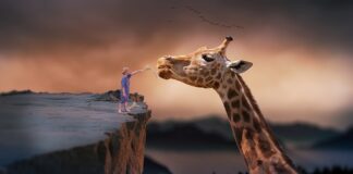 Jak długo można żyć z jedną nerka?