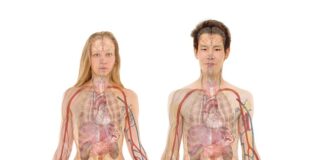 Co nosić zamiast nerki? Co nosić zamiast nerki?