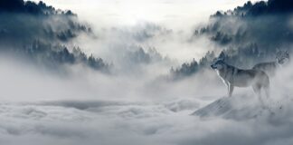 Czy mróz wyciąga wilgoć?