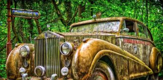 Jakie polskie marki dla dzieci? Jakie polskie marki dla dzieci?