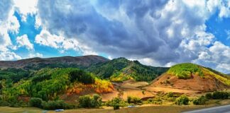 Jaka nakładka na sedes?