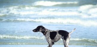 Do jakiego wieku dziecko może się Moczyć?